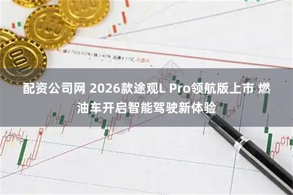 配资公司网 2026款途观L Pro领航版上市 燃油车开启智能驾驶新体验